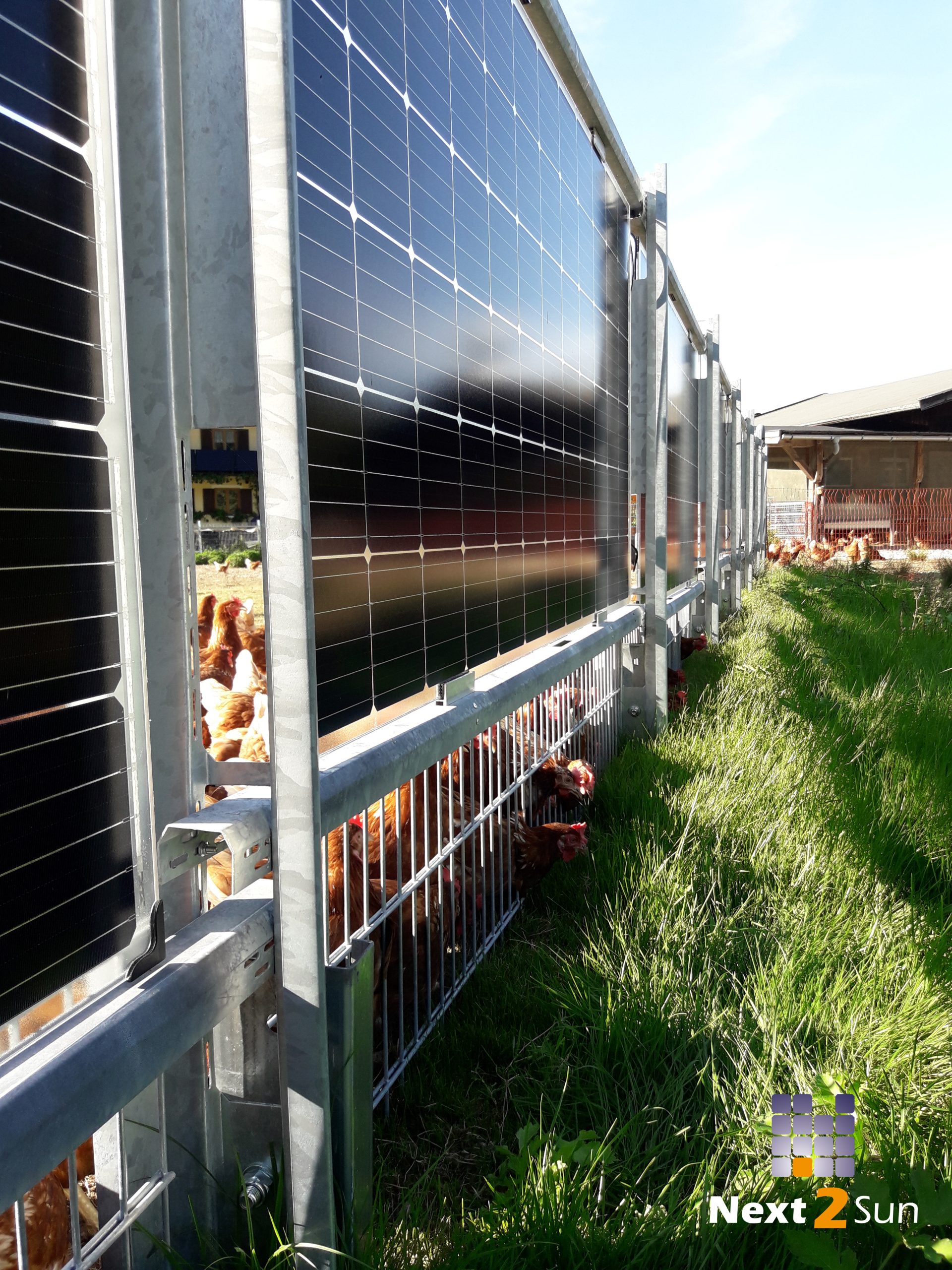 Solarzaun auf Bauernhof