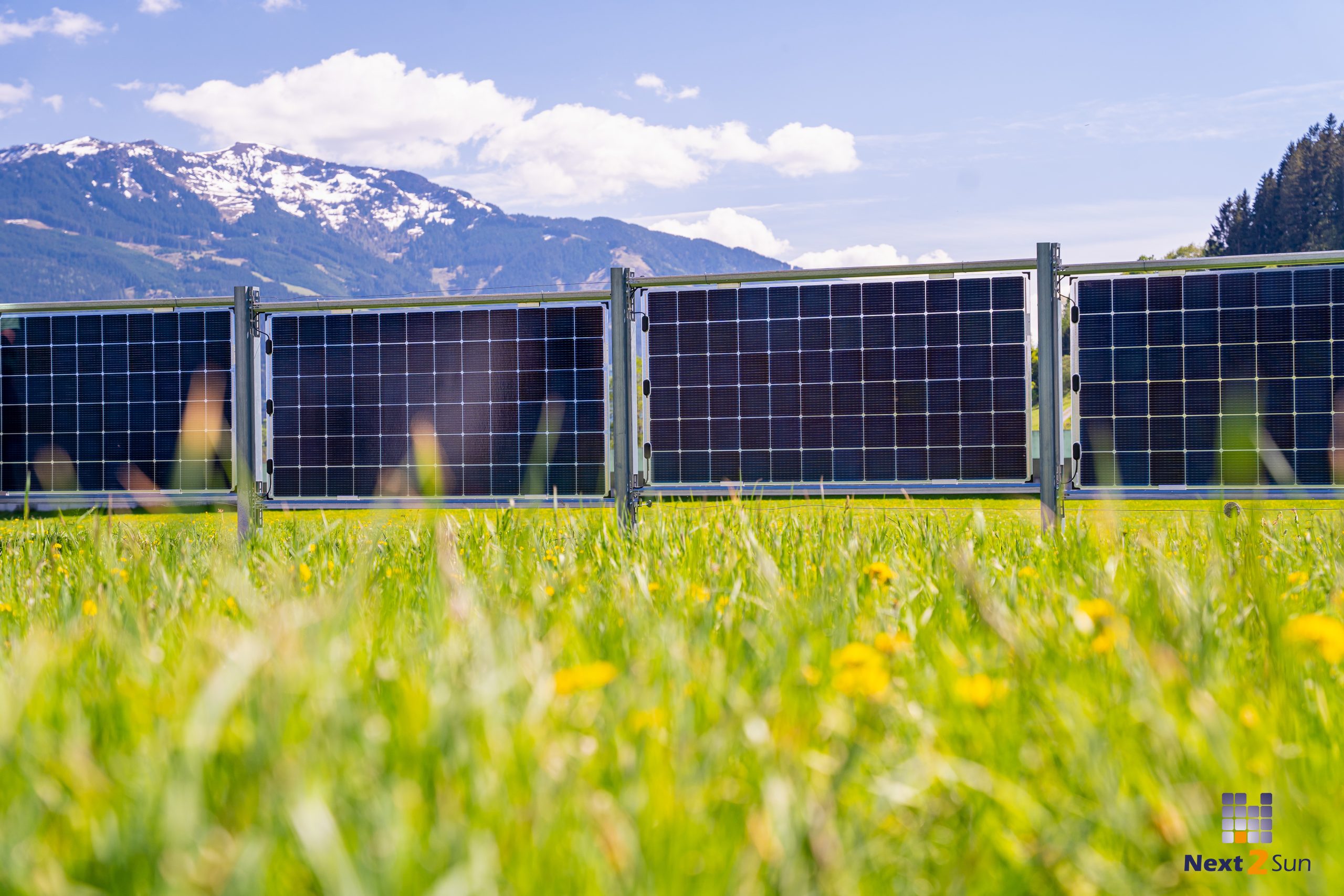 Solarzaun in Blumenwiese